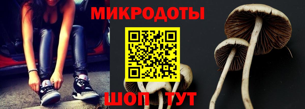 Псилоцибиновые грибы ЛСД  Галлюциногенные грибы Cubensis  Губкинский  Вход с VPN 